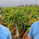 corporate-job-chod-kar-farming-success-story-arun-srinivas-dragon-fruit-millionaire-india-2026-hindi