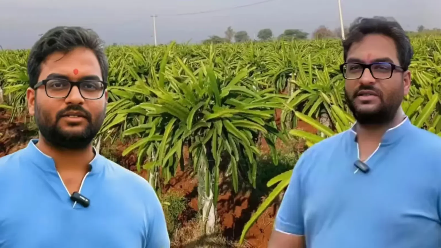 corporate-job-chod-kar-farming-success-story-arun-srinivas-dragon-fruit-millionaire-india-2026-hindi