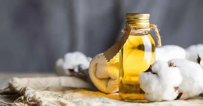 cottonseed-oil-cake-futures-price-fall-ncdex-april-29-hindi