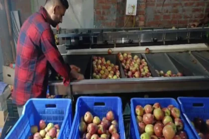 fssai-crackdown-illegal-fruit-ripening-calcium-carbide-ban-india-2026