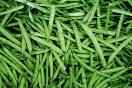 guar-gum-futures-price-rise-ncdex-april-29-hindi
