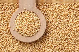 guar-seed-futures-price-rise-ncdex-april-29-hindi