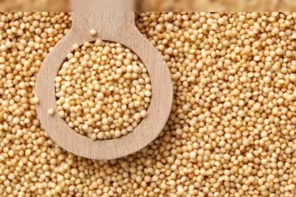 guar-seed-futures-price-rise-ncdex-april-29-hindi