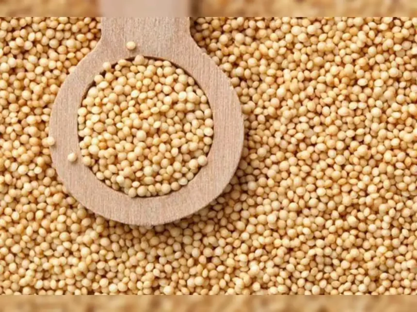 guar-seed-futures-price-rise-ncdex-april-29-hindi