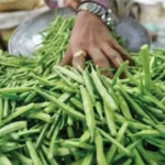 guar-seed-futures-price-rise-ncdex-india-april-2026-hindi