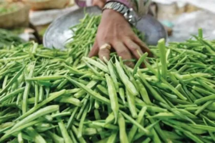 guar-seed-futures-price-rise-ncdex-india-april-2026-hindi