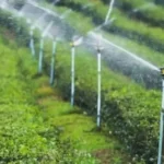 Irrigation system in lush green fields.