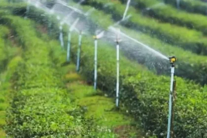 Irrigation system in lush green fields.
