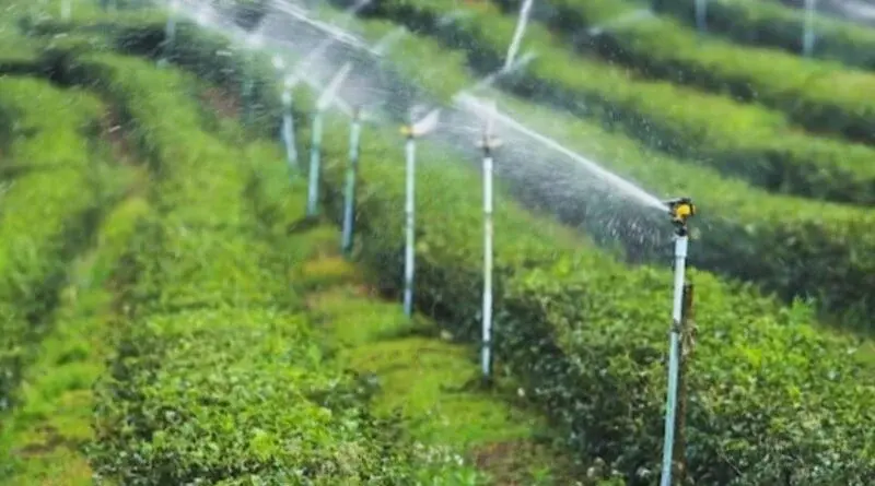Irrigation system in lush green fields.