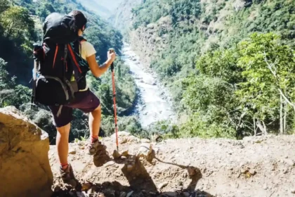 india-travelers-survey-hospitality-service-issues-resolution-vertex-2026