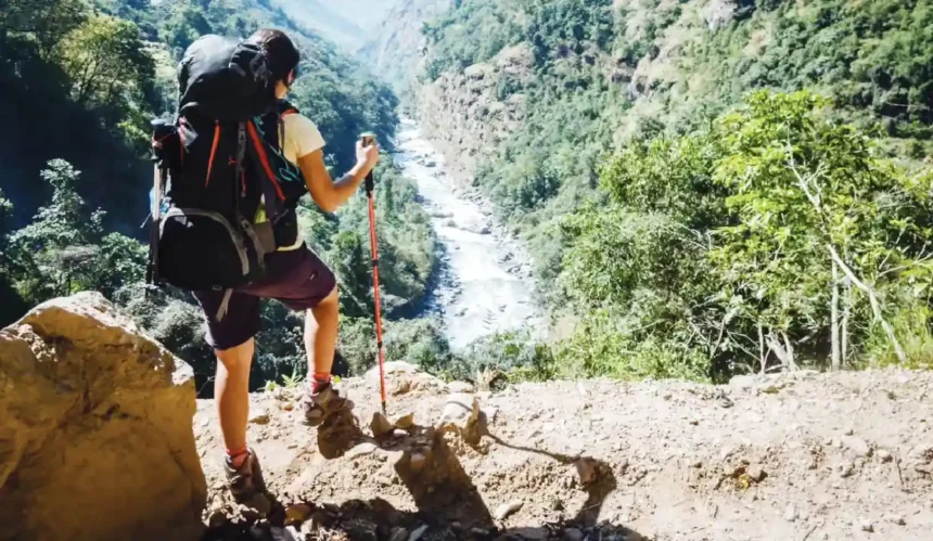 india-travelers-survey-hospitality-service-issues-resolution-vertex-2026