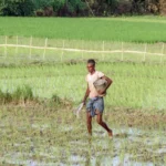 indian-agriculture-risk-el-nino-monsoon-west-asia-war-icra-report-2026
