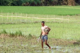 indian-agriculture-risk-el-nino-monsoon-west-asia-war-icra-report-2026