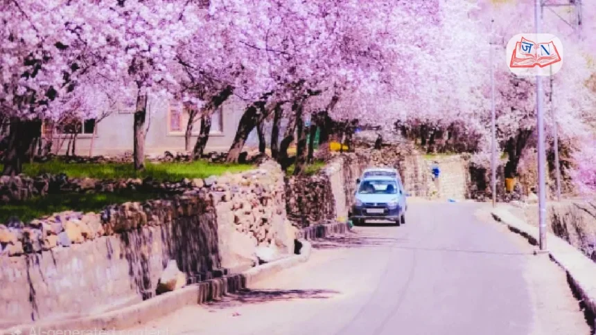 ladakh-apricot-blossom-festival-flights-increase-tourism