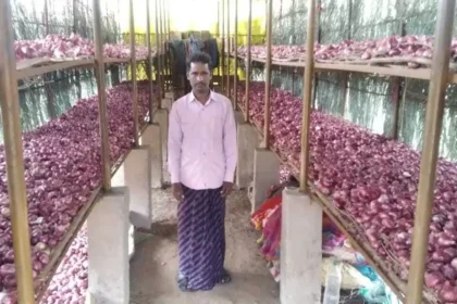 pyaj-storage-tips-desi-jugaad-onion-safe-storage-farmers-hindi