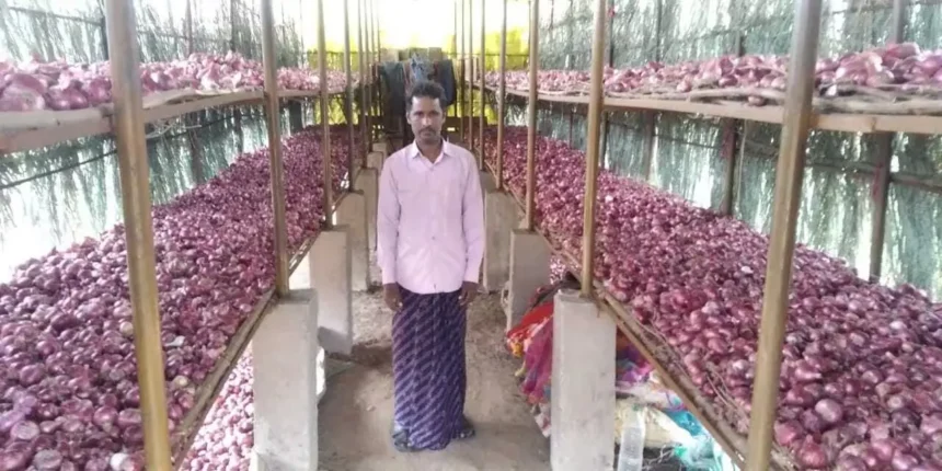 pyaj-storage-tips-desi-jugaad-onion-safe-storage-farmers-hindi