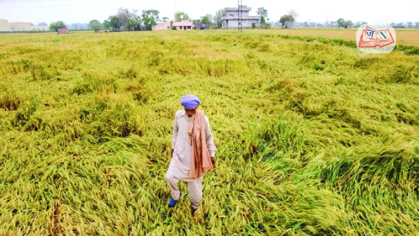 shivraj-chouhan-crop-loss-assessment-storm-hailstorm-india
