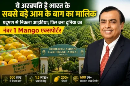 ambani-largest-mango-orchard-jamnagar-reliance-mango-export-story-hindi-analysis