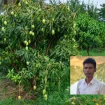 banjar-zameen-se-2-lakh-kamai-multi-layer-farming-success-story