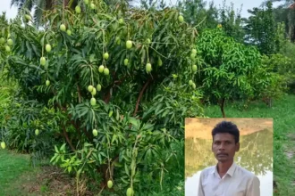banjar-zameen-se-2-lakh-kamai-multi-layer-farming-success-story