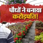 bhausaheb-navale-success-story-green-and-blooms-nursery-business