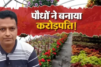 bhausaheb-navale-success-story-green-and-blooms-nursery-business