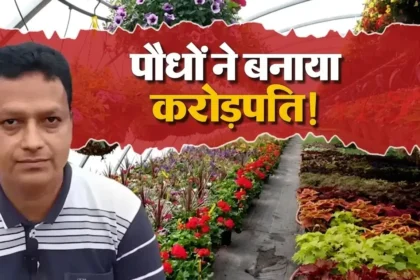 bhausaheb-navale-success-story-green-and-blooms-nursery-business