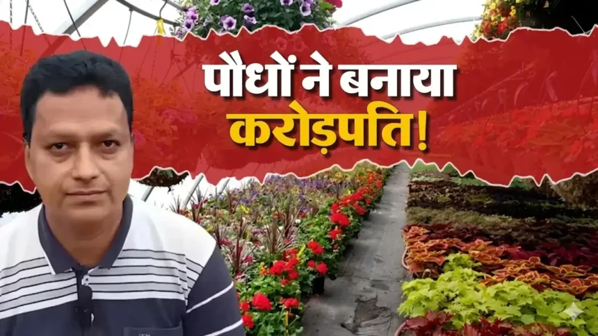 bhausaheb-navale-success-story-green-and-blooms-nursery-business
