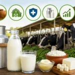 dairy-business-important-things-before-starting