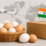 egg-export-india-top-buying-countries-poultry-sector-growth