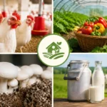 gaon-me-shuru-kare-ye-4-profitable-business-ideas