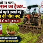 haryana-karnal-paddy-crop-destroyed-early-sowing-groundwater-rule