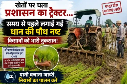 haryana-karnal-paddy-crop-destroyed-early-sowing-groundwater-rule