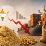 india-soyameal-export-four-year-low-farmers-impact-hindi