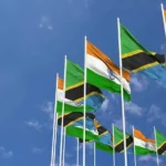 india-tanzania-local-currency-trade-africa-china-strategy-hindi-analysis-2026