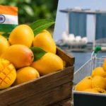 indian-mangoes-demand-surges-in-singapore-after-japan-ban
