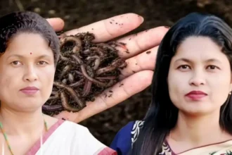 kanika-talukdar-success-story-75-lakh-organic-business