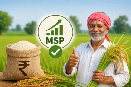 kharif-crops-msp-hike-2026-paddy-price-2441-farmers-news-hindi