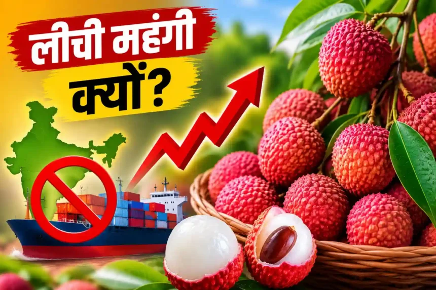 litchi-price-hike-india-second-largest-producer-export-low-why-costly