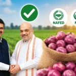 onion-farmers-relief-nafed-nccf-direct-purchase-amit-shah