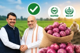 onion-farmers-relief-nafed-nccf-direct-purchase-amit-shah