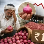 onion-price-crash-maharashtra-farmers-demand-msp-compensation