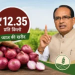 onion-price-nafed-onion-procurement-shivraj-singh-chouhan-farmers-relief