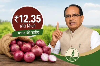 onion-price-nafed-onion-procurement-shivraj-singh-chouhan-farmers-relief