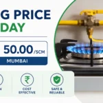 png-price-today-india-24-may-2026
