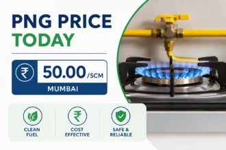 png-price-today-india-24-may-2026