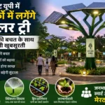 solar-tree-project-in-meerut-west-up-parks-green-energy-development