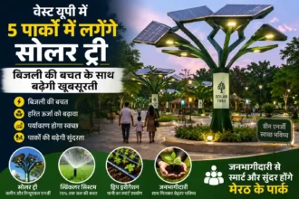 solar-tree-project-in-meerut-west-up-parks-green-energy-development