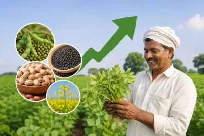 zaid-crop-sowing-increase-pulses-oilseeds-good-news