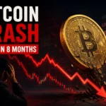 bitcoin-crash-price-falls-over-50-percent-in-eight-months